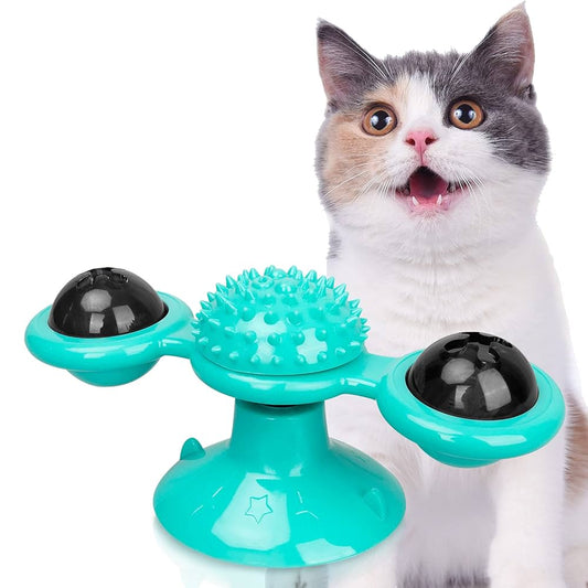 Molinillo Felino